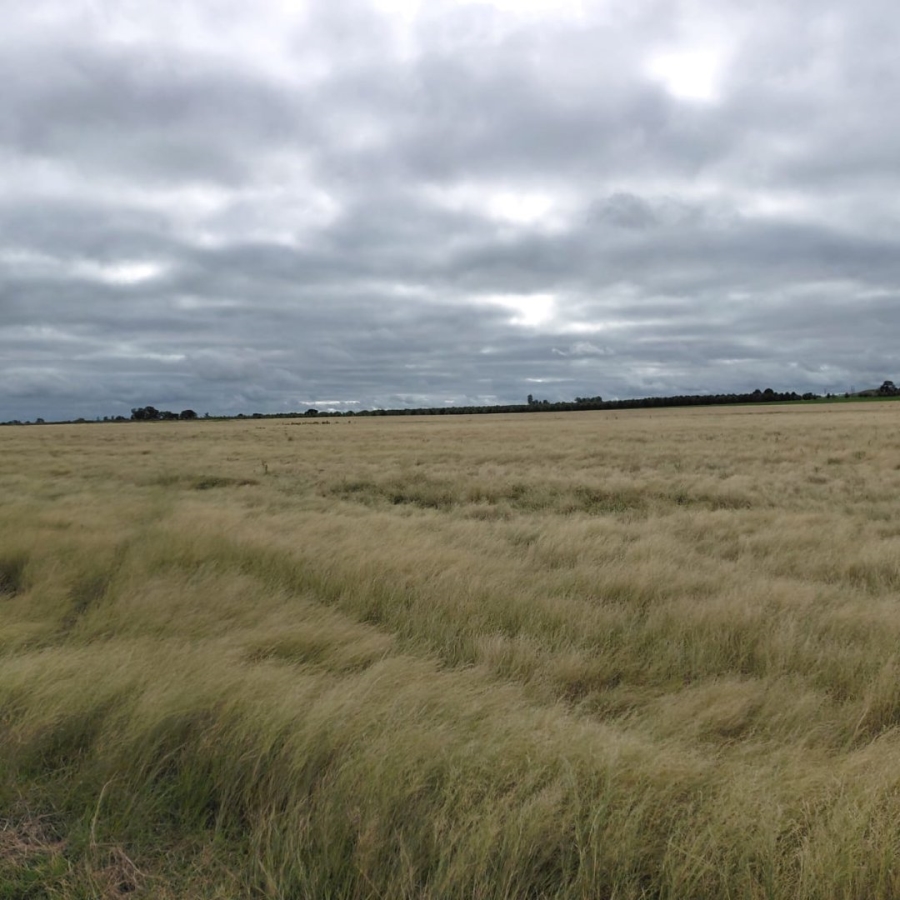 Commercial Property for Sale in Warrenton Northern Cape